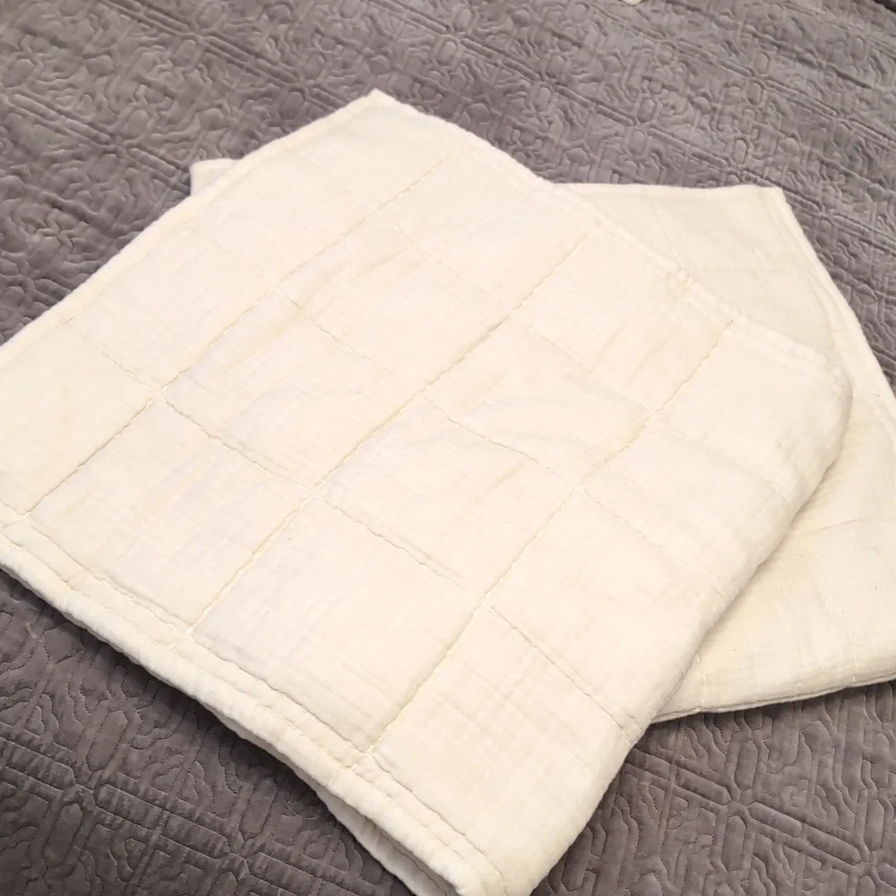 West Elm Cotton Cloud Jersey Pick Stitch Set of 2 King Shams New!